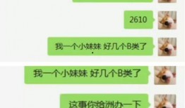 官方活动新爆料最新消息,揭秘神秘内容，精彩不容错过！